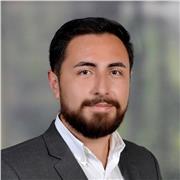 Profesor universitario de ingeniería de sistemas